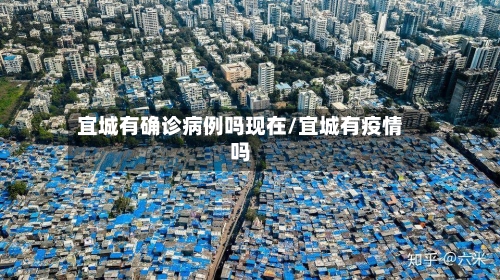 宜城有确诊病例吗现在/宜城有疫情吗-第3张图片