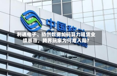 利通电子	、协创数据加码算力租赁业绩暴涨	，跨界玩家为何难入局？-第3张图片