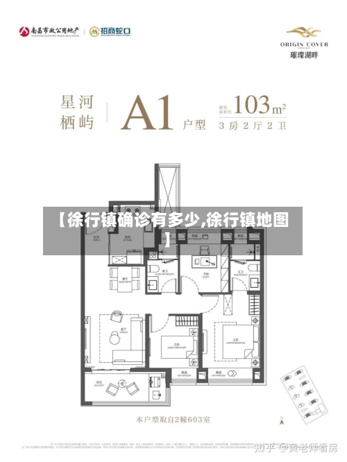 【徐行镇确诊有多少,徐行镇地图】-第3张图片