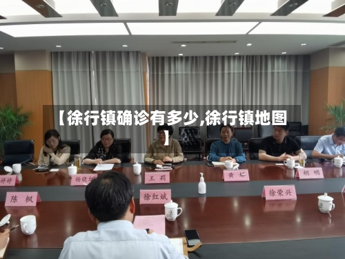 【徐行镇确诊有多少,徐行镇地图】-第2张图片