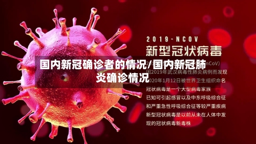 国内新冠确诊者的情况/国内新冠肺炎确诊情况-第2张图片