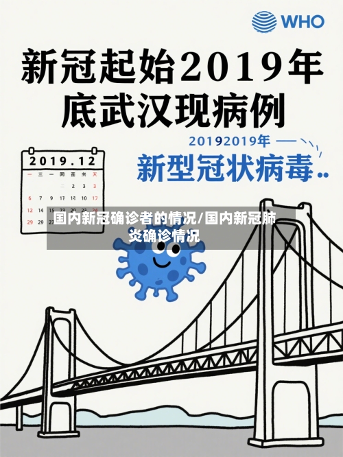 国内新冠确诊者的情况/国内新冠肺炎确诊情况-第3张图片