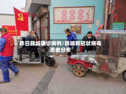 昨日薛城确诊病例/薛城新冠状病毒患者分布-第3张图片