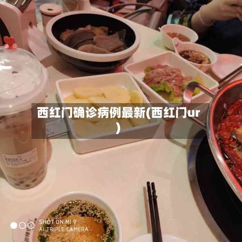 西红门确诊病例最新(西红门ur)-第2张图片