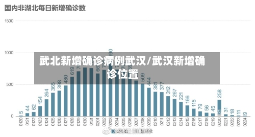 武北新增确诊病例武汉/武汉新增确诊位置-第3张图片