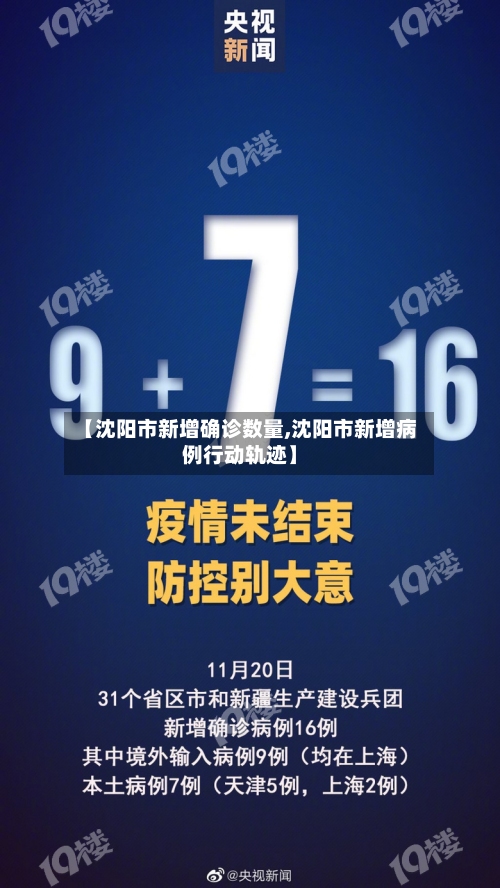 【沈阳市新增确诊数量,沈阳市新增病例行动轨迹】-第2张图片