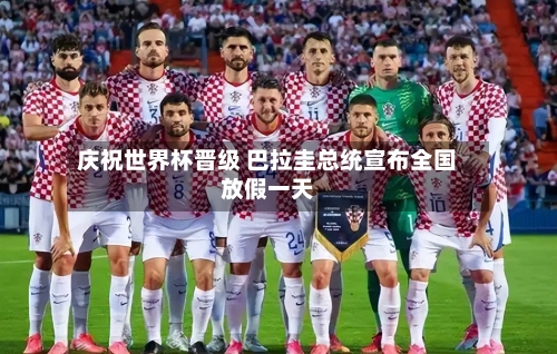 庆祝世界杯晋级 巴拉圭总统宣布全国放假一天-第3张图片