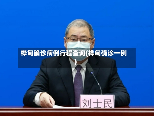 桦甸确诊病例行程查询(桦甸确诊一例)