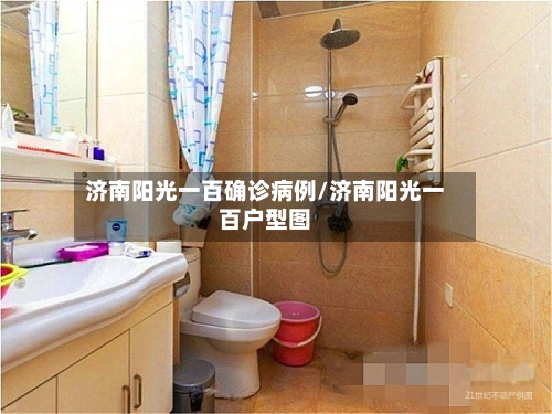 济南阳光一百确诊病例/济南阳光一百户型图-第3张图片
