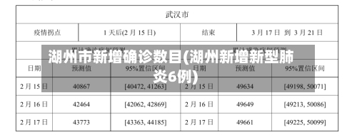 湖州市新增确诊数目(湖州新增新型肺炎6例)-第2张图片