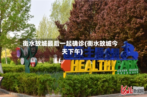衡水故城最后一起确诊(衡水故城今天下午)