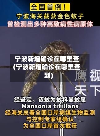 宁波新增确诊在哪里查(宁波新增确诊在哪里查到)-第3张图片