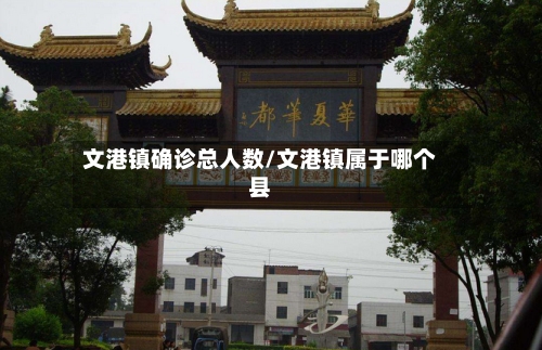 文港镇确诊总人数/文港镇属于哪个县