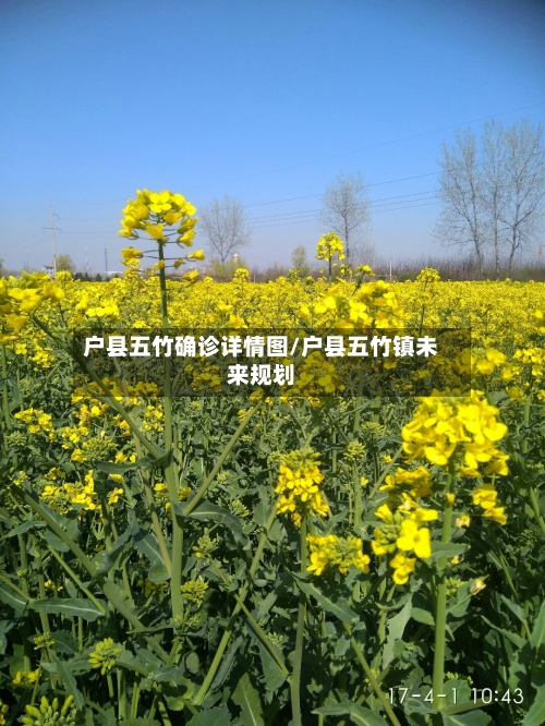 户县五竹确诊详情图/户县五竹镇未来规划