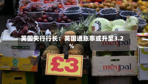 英国央行行长:英国通胀率或升至3.2%-第3张图片