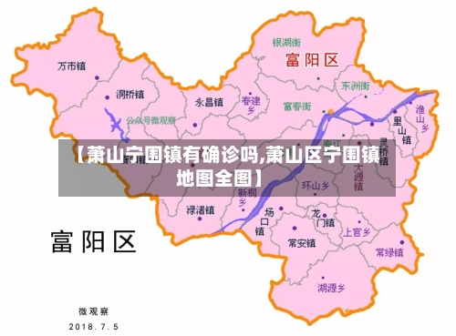 【萧山宁围镇有确诊吗,萧山区宁围镇地图全图】-第2张图片