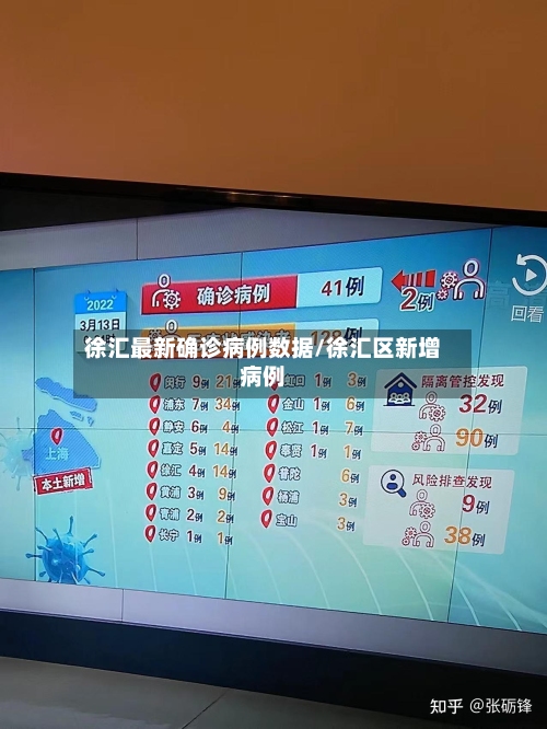 徐汇最新确诊病例数据/徐汇区新增病例-第2张图片