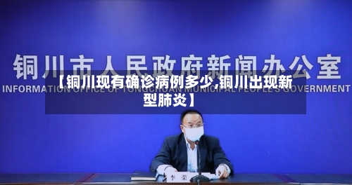 【铜川现有确诊病例多少,铜川出现新型肺炎】-第3张图片