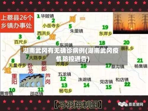 湖南武冈有无确诊病例(湖南武冈疫情防控通告)-第2张图片