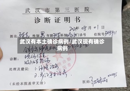武汉有本土确诊病例/武汉现有确诊病例-第2张图片