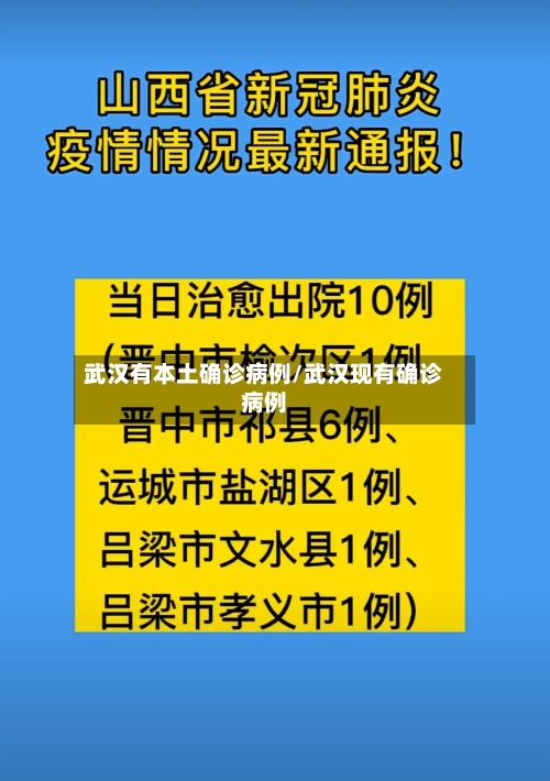 武汉有本土确诊病例/武汉现有确诊病例-第3张图片