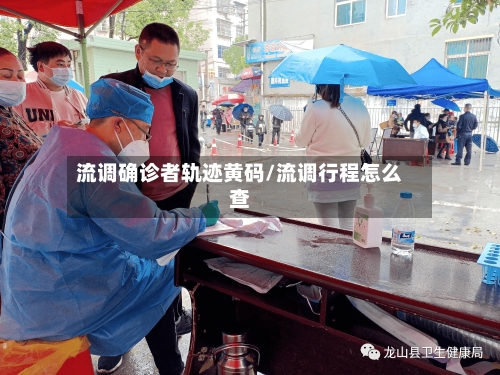 流调确诊者轨迹黄码/流调行程怎么查