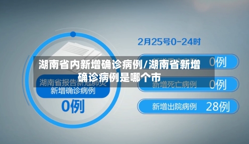 湖南省内新增确诊病例/湖南省新增确诊病例是哪个市