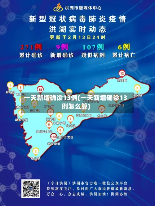一天新增确诊13例(一天新增确诊13例怎么算)-第3张图片