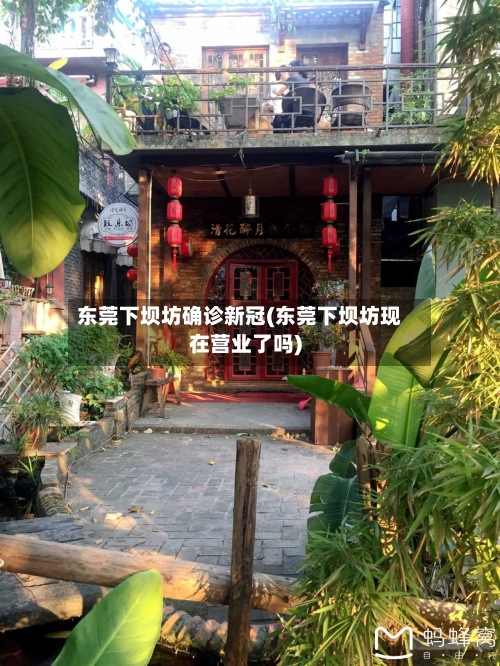 东莞下坝坊确诊新冠(东莞下坝坊现在营业了吗)