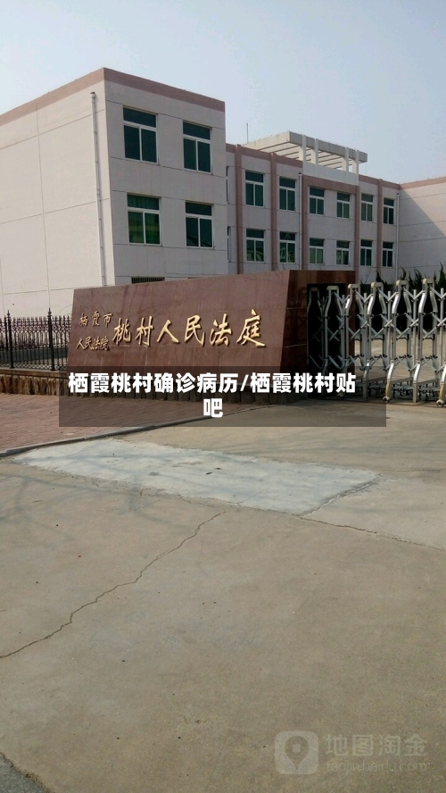 栖霞桃村确诊病历/栖霞桃村贴吧