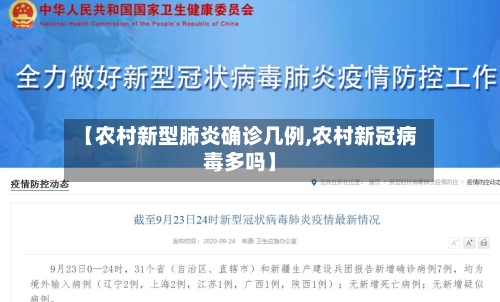 【农村新型肺炎确诊几例,农村新冠病毒多吗】-第2张图片