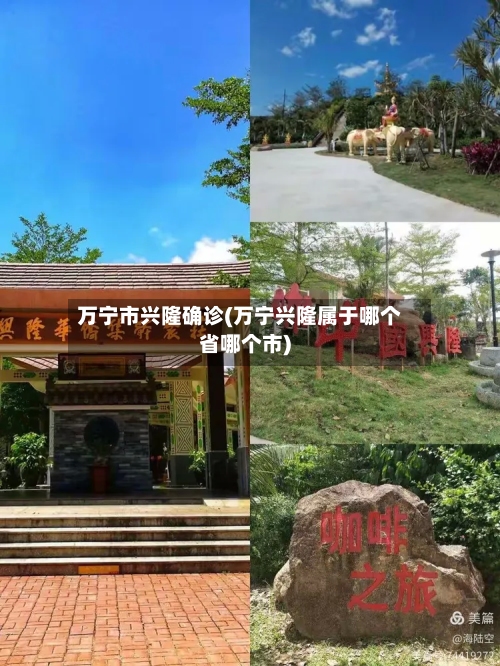 万宁市兴隆确诊(万宁兴隆属于哪个省哪个市)-第3张图片