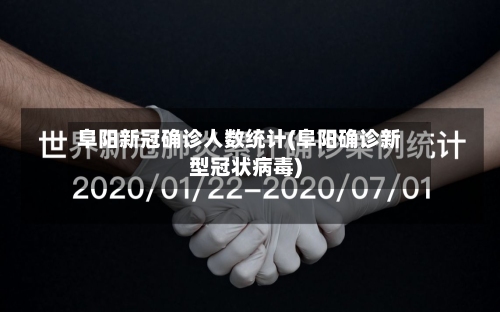 阜阳新冠确诊人数统计(阜阳确诊新型冠状病毒)-第2张图片