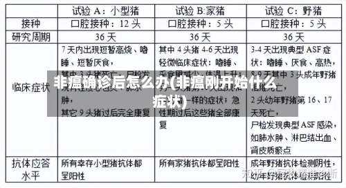 非瘟确诊后怎么办(非瘟刚开始什么症状)