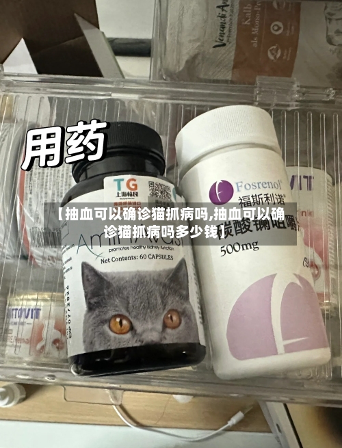 【抽血可以确诊猫抓病吗,抽血可以确诊猫抓病吗多少钱】-第2张图片