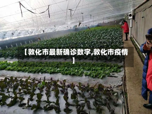 【敦化市最新确诊数字,敦化市疫情】-第2张图片