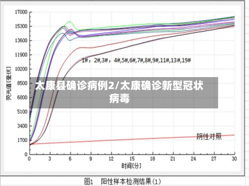 太康县确诊病例2/太康确诊新型冠状病毒