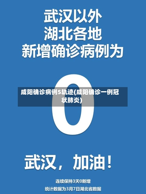 咸阳确诊病例5轨迹(咸阳确诊一例冠状肺炎)-第2张图片