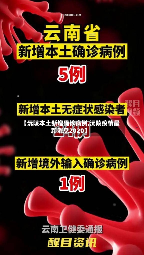 【沅陵本土新增确诊病例,沅陵疫情最新消息2020】