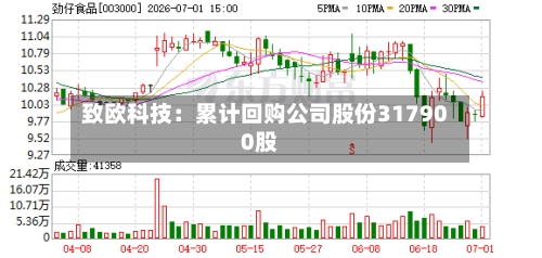 致欧科技：累计回购公司股份317900股-第2张图片