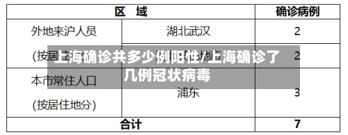 上海确诊共多少例阳性/上海确诊了几例冠状病毒-第2张图片