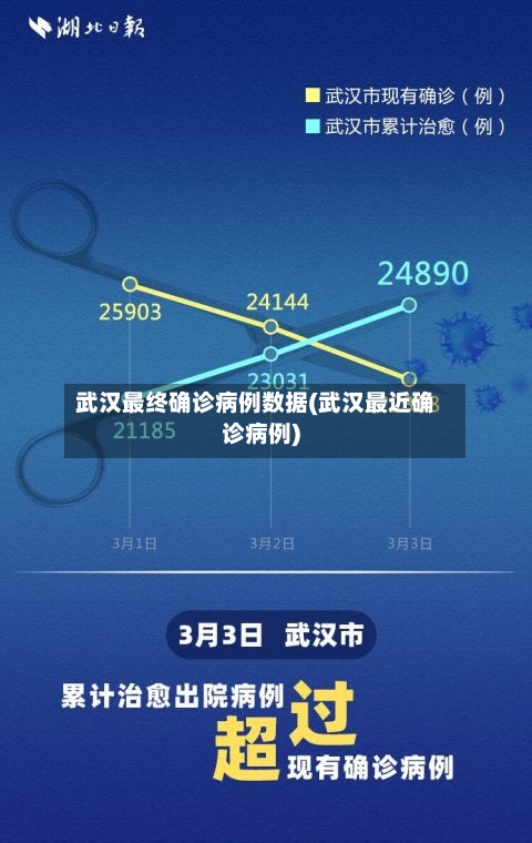武汉最终确诊病例数据(武汉最近确诊病例)