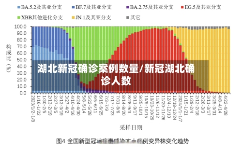 湖北新冠确诊案例数量/新冠湖北确诊人数