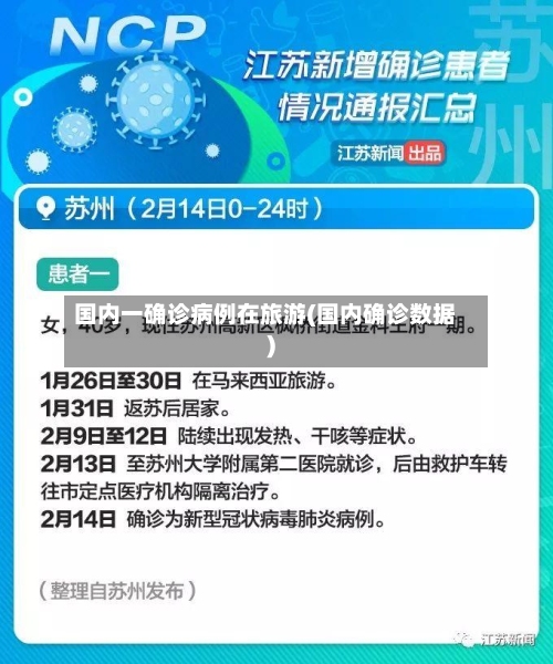 国内一确诊病例在旅游(国内确诊数据)-第2张图片