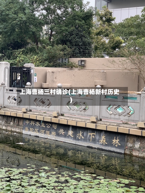 上海曹杨三村确诊(上海曹杨新村历史)-第3张图片