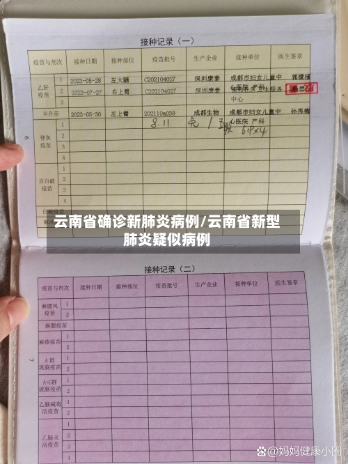 云南省确诊新肺炎病例/云南省新型肺炎疑似病例-第2张图片