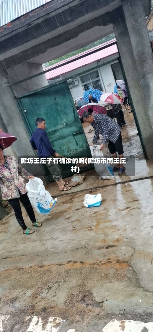 廊坊王庄子有确诊的吗(廊坊市南王庄村)