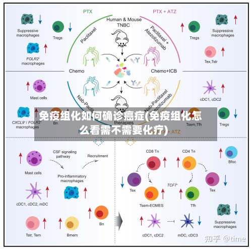 免疫组化如何确诊癌症(免疫组化怎么看需不需要化疗)