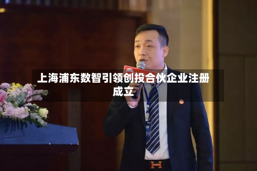 上海浦东数智引领创投合伙企业注册成立-第2张图片