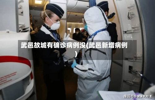 武邑故城有确诊病例没(武邑新增病例)-第2张图片